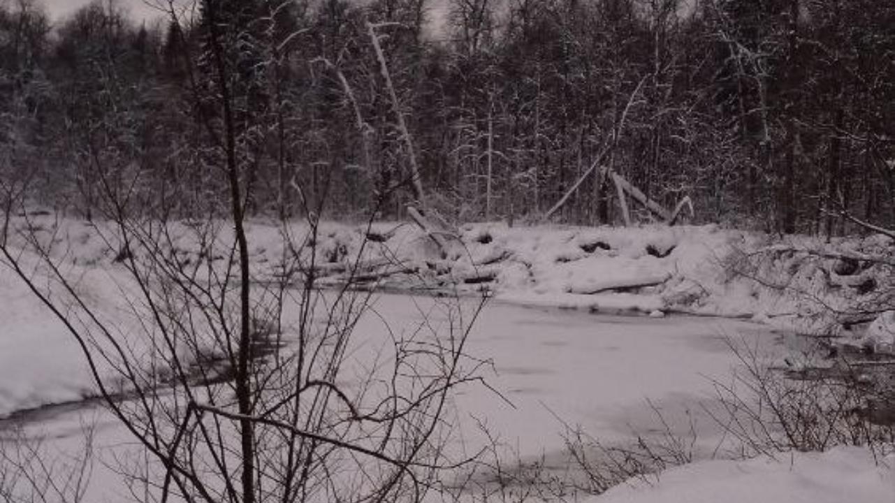 На реке Илеть в Марий Эл происходят парадоксальные изменения