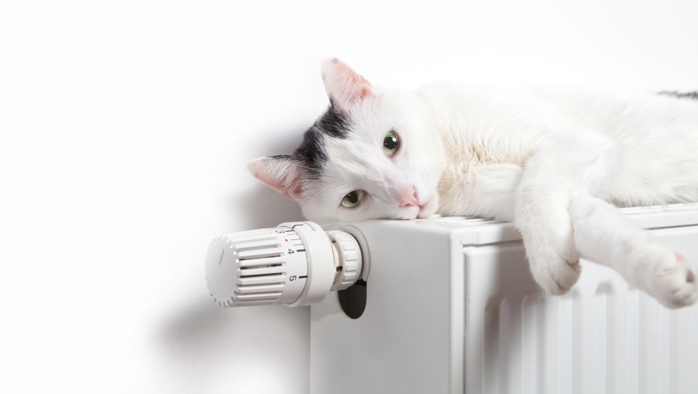 Отопление в Йошкар-Оле включат уже завтра