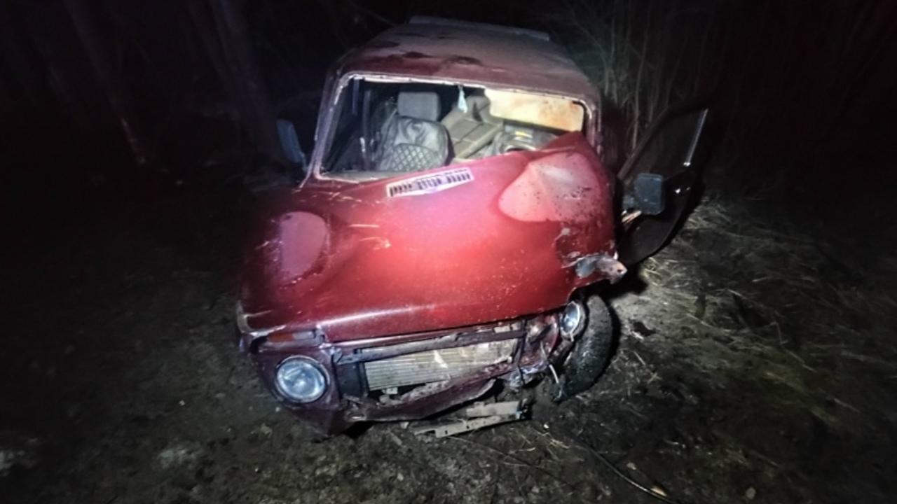 В Марий Эл пенсионер на «Ниве» врезался в дерево