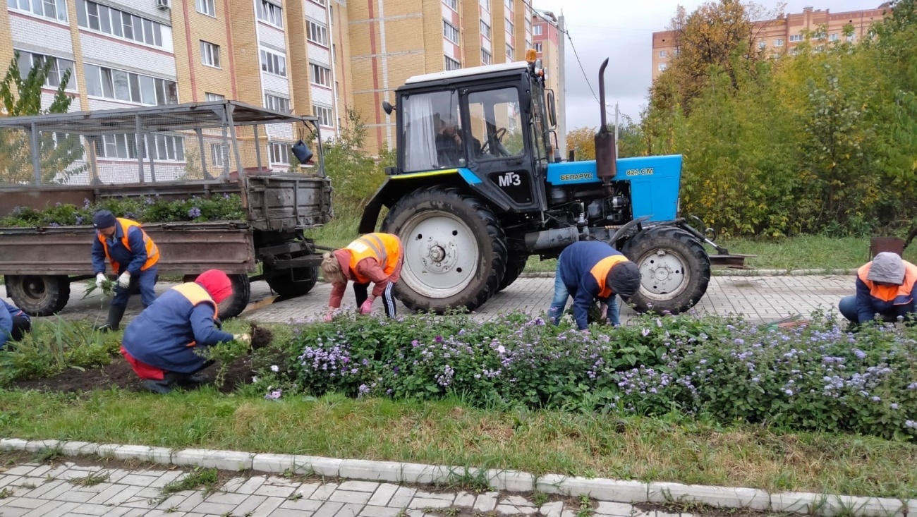 Клумбы Йошкар-Олы готовят к зиме