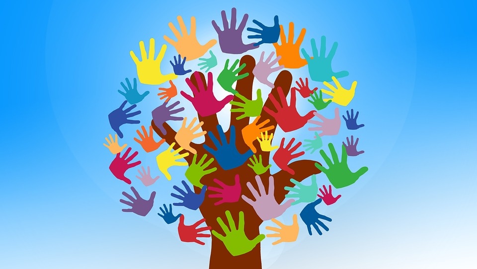 В Марий Эл «разыскиваются» волонтёры