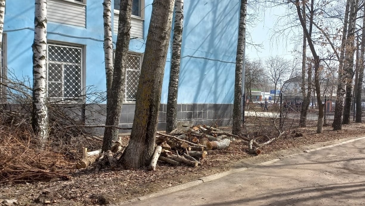 В Йошкар-Оле проходят общественные обсуждения новых Правил благоустройства