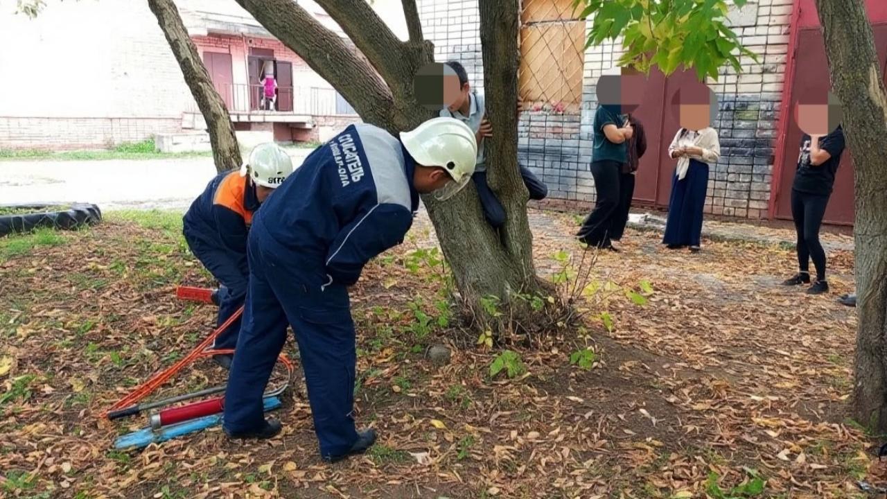 В одной из школ Йошкар-Олы подросток застрял ногой между двумя деревьями