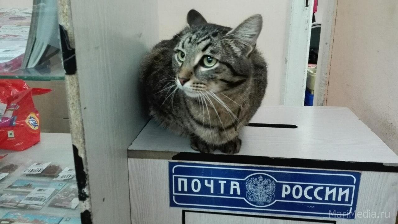 Почта России сообщает о режиме работы отделений 24 июня