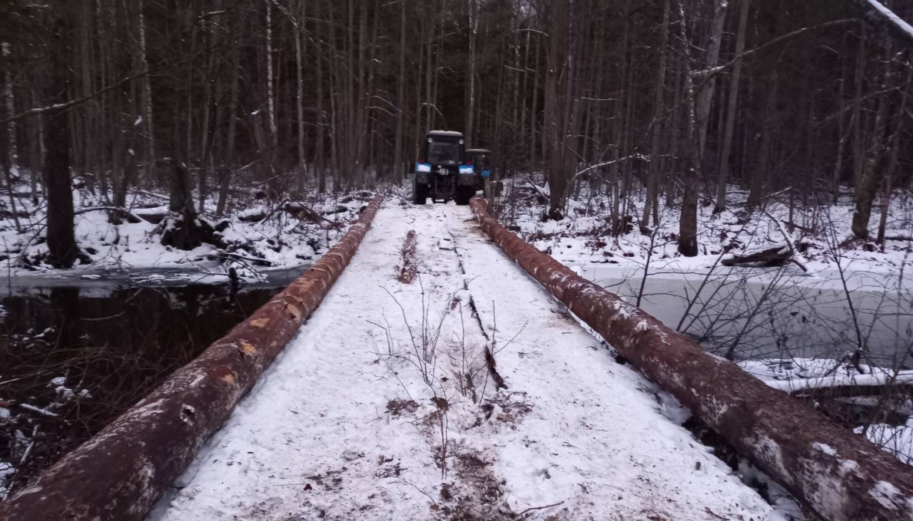 В заповеднике «Большая Кокшага» отремонтировали мосты через реки Арья, Шамка и Витьюм