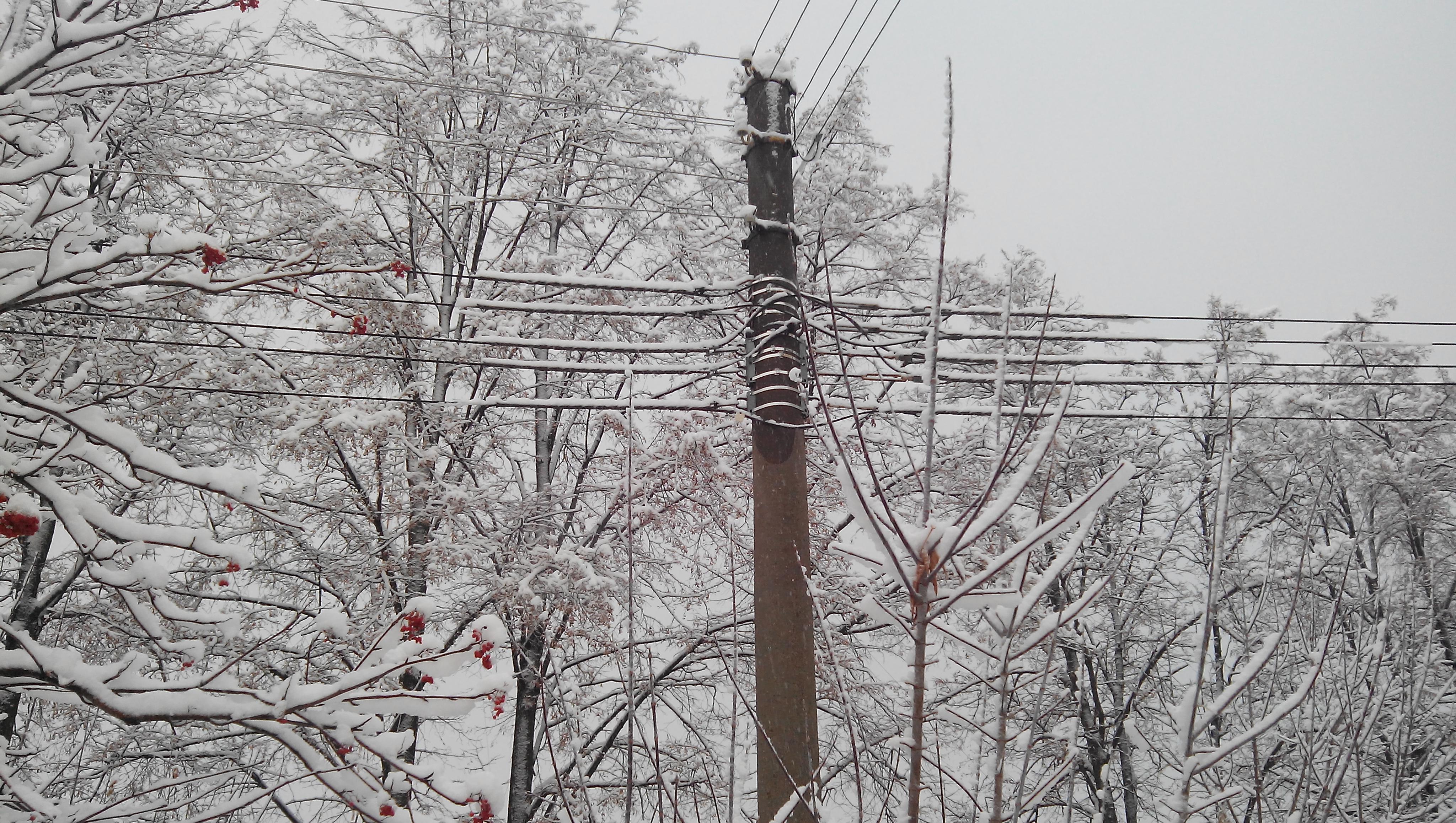 В Марий Эл энергетики переведены в режим повышенной готовности