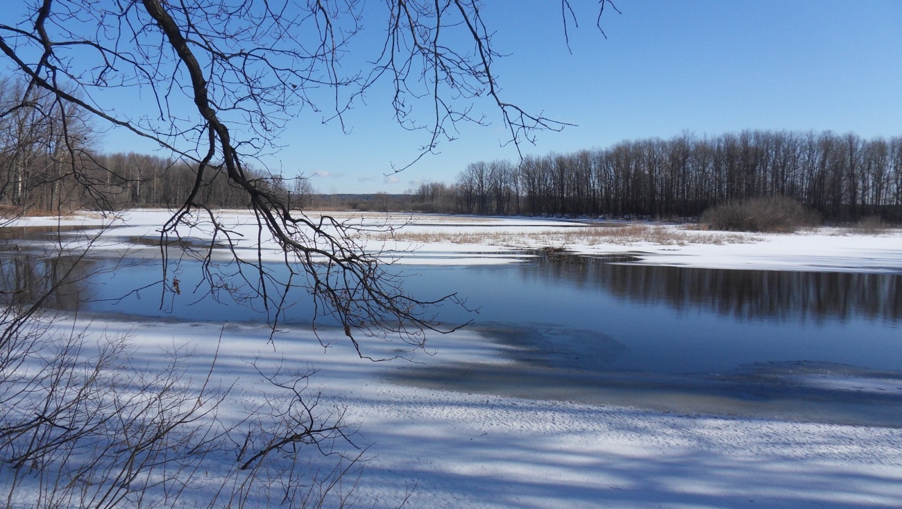 Спасатели Марий Эл просят жителей республики быть осторожными при выходе на лед