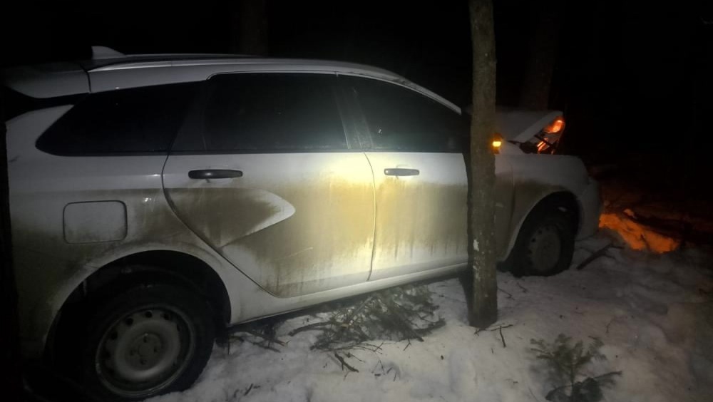 В Марий Эл рано утром на подъезде к Йошкар-Оле автомобиль съехал в кювет