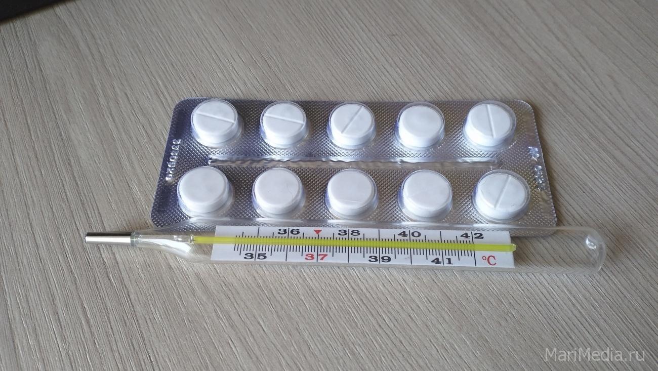 В Марий Эл заболеваемость ОРВИ пошла на спад