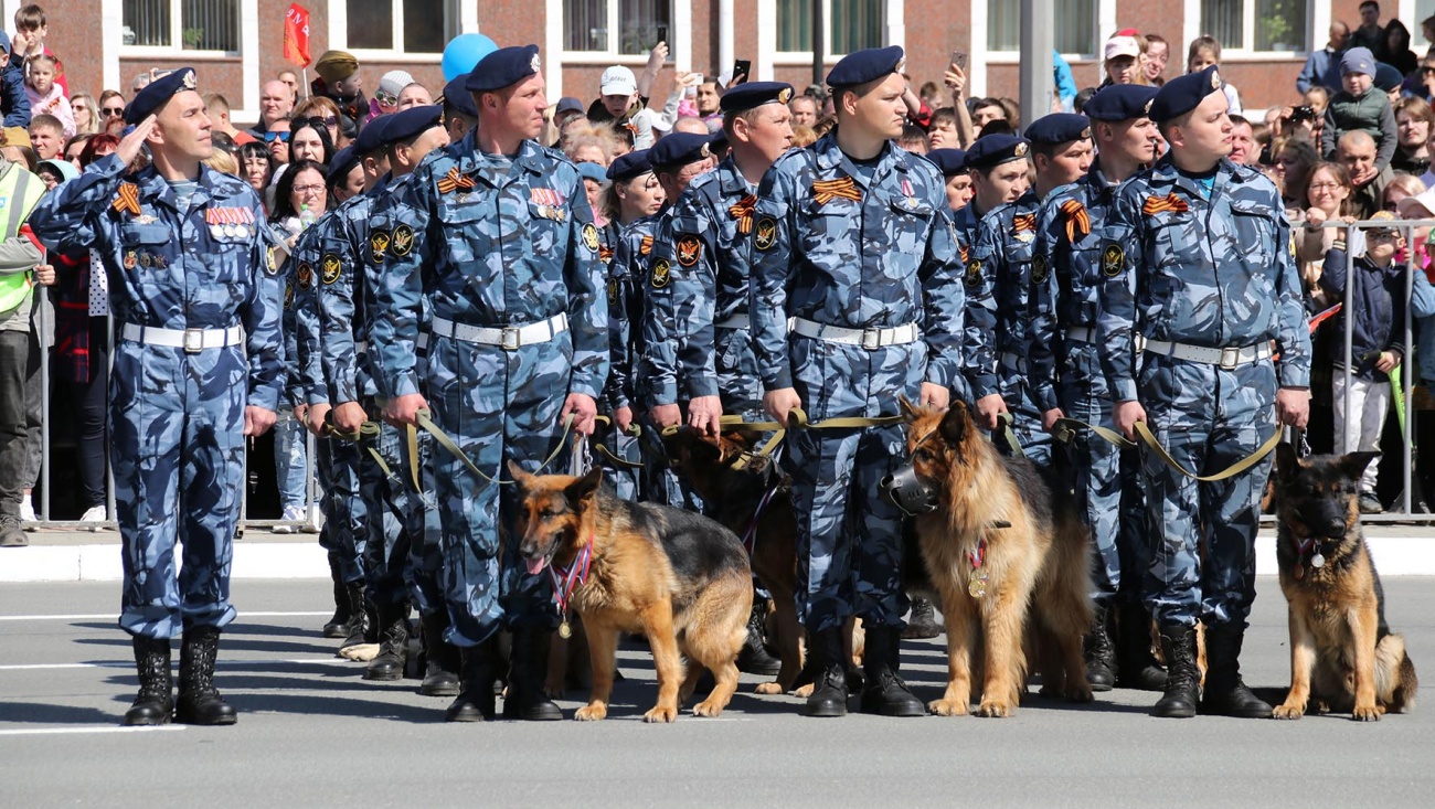 В кинологической службе УФСИН 70 хвостатых сотрудников