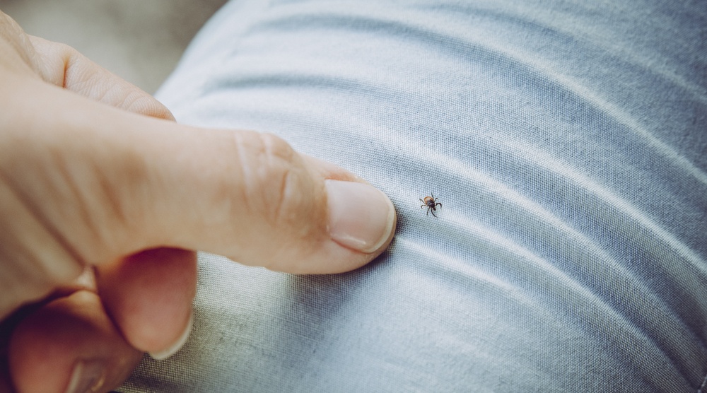 В Марий Эл два человека пострадали от укусов энцефалитных клещей