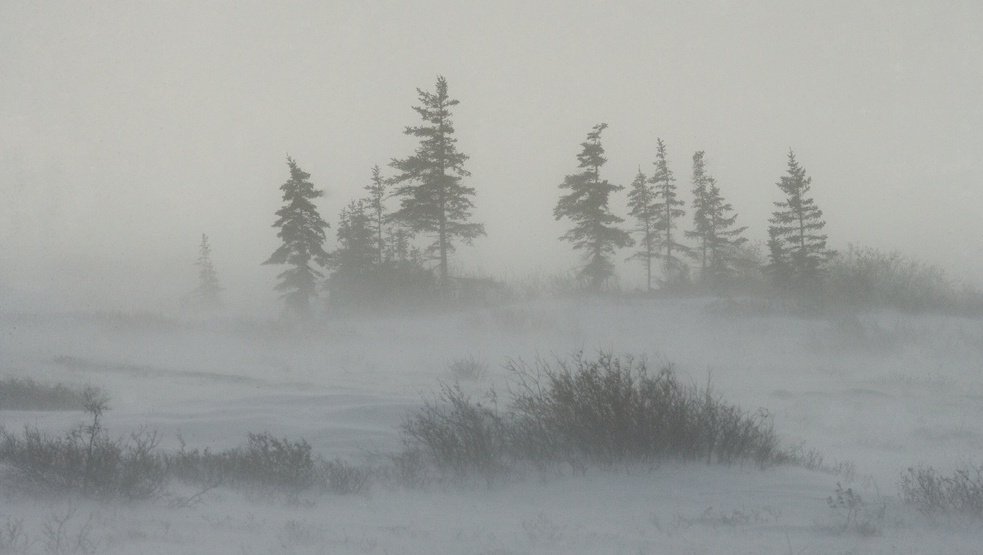 В Марий Эл ожидается усиление ветра