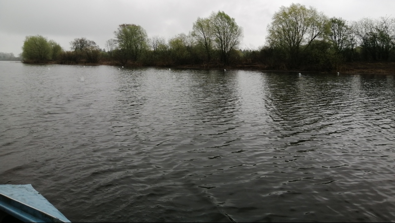 В Марий Эл установили искусственные нерестилища