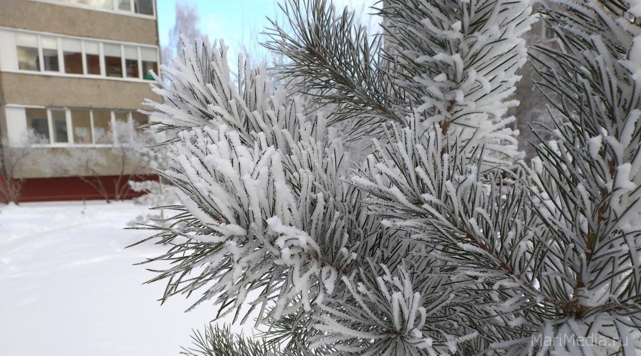 В Марий Эл на этой неделе будет умеренно холодная погода