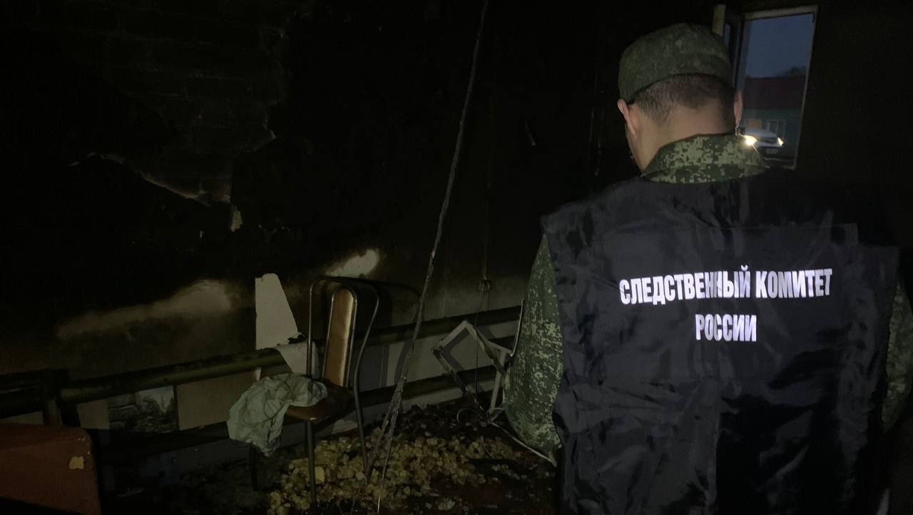 В Новом Торъяле на пожаре погибла женщина