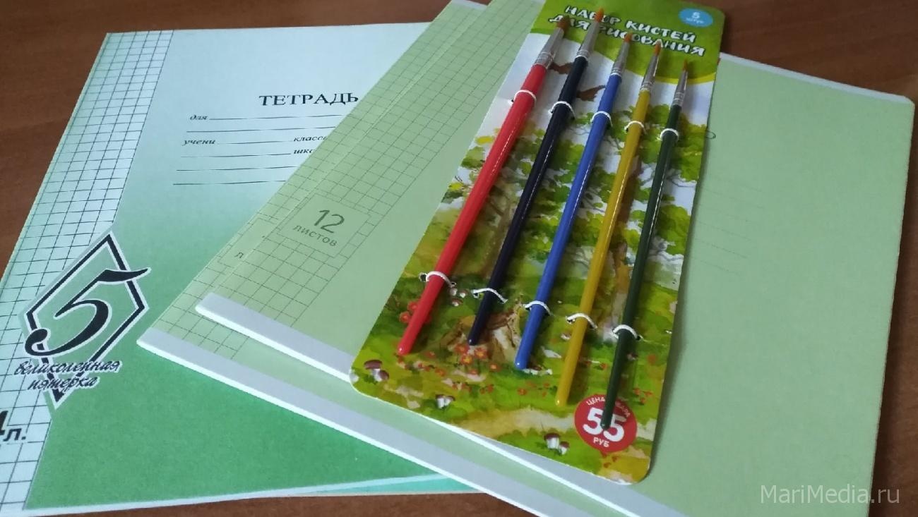 В йошкар-олинских школах стартует акция «Помоги собраться в школу»