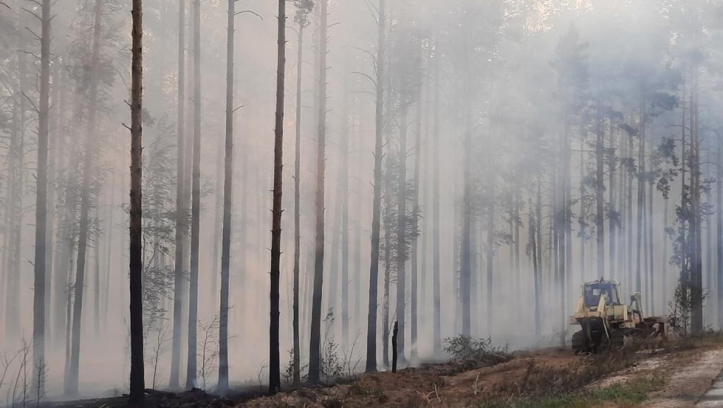 Сегодня в Марий Эл тушили три лесных пожара