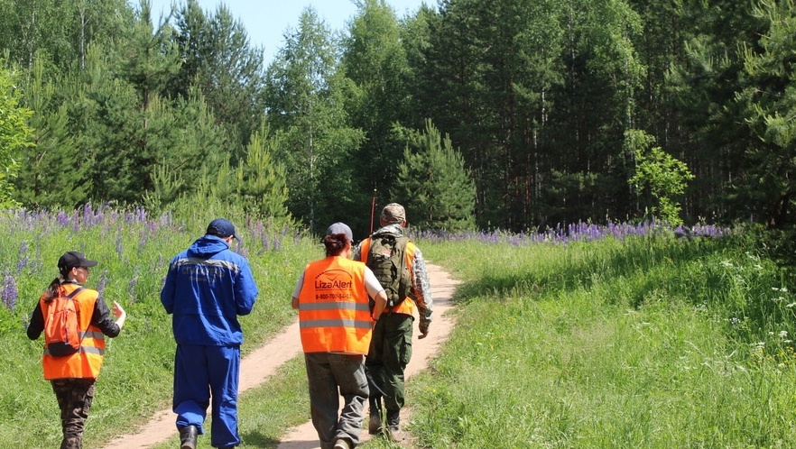 В селе Табашино в Оршанском районе искали «заблудившихся грибников»