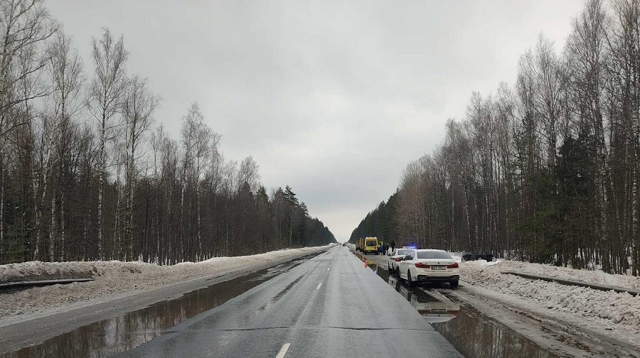 На автодороге «Вятка» иномарка перевернулась в кювет