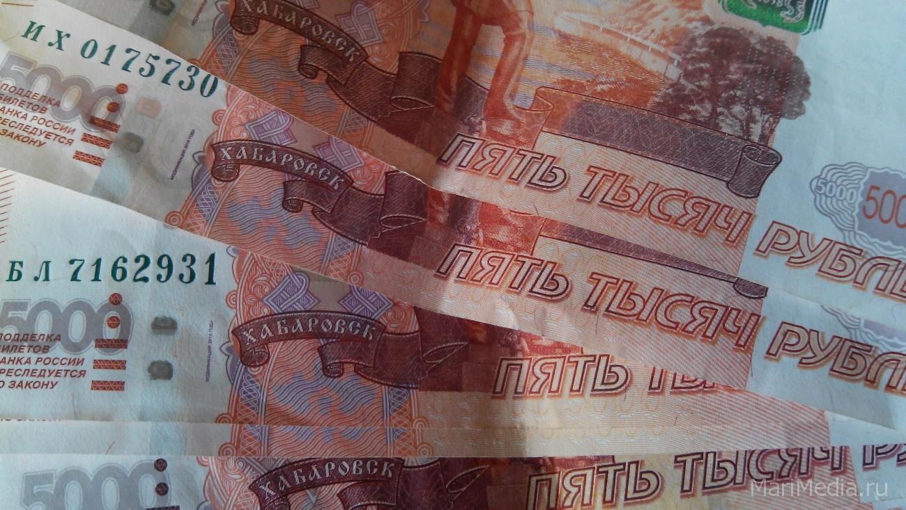 Житель Медведево разом погасил полумиллионный долг