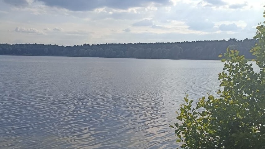 В воде озера Яльчик обнаружили паразитов