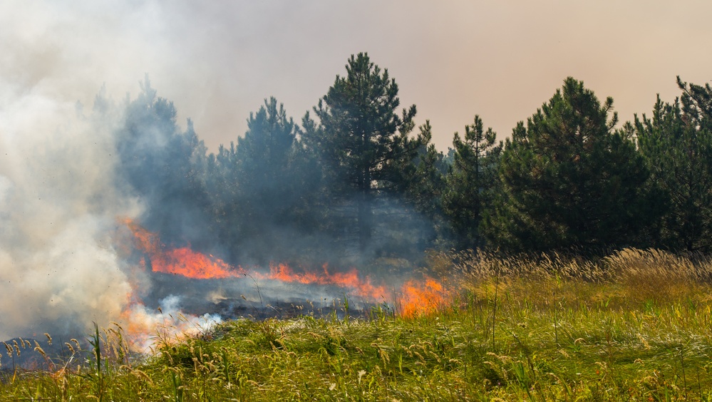 В лесах Марий Эл объявлен V класс пожарной опасности