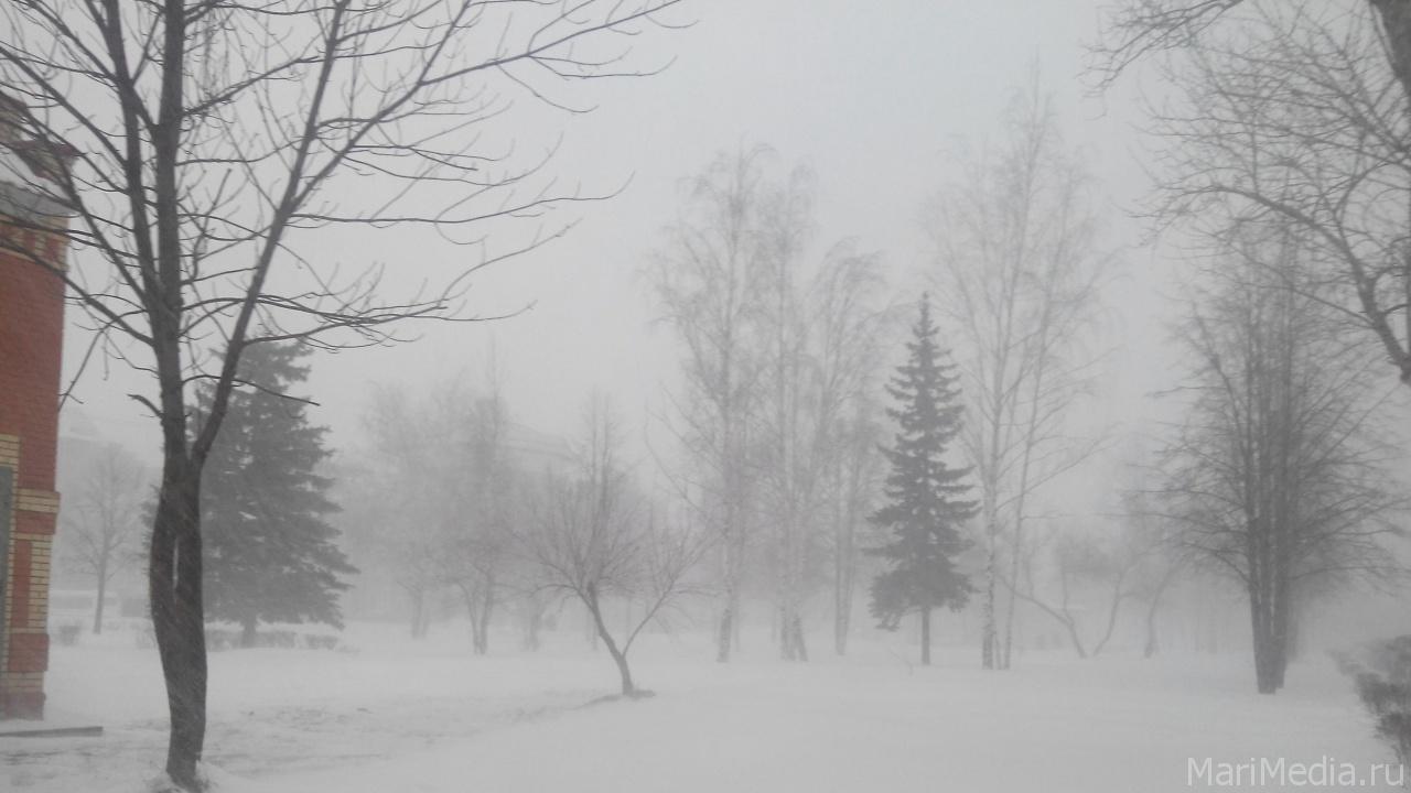 Жителей Марий Эл ждёт очередная партия снега