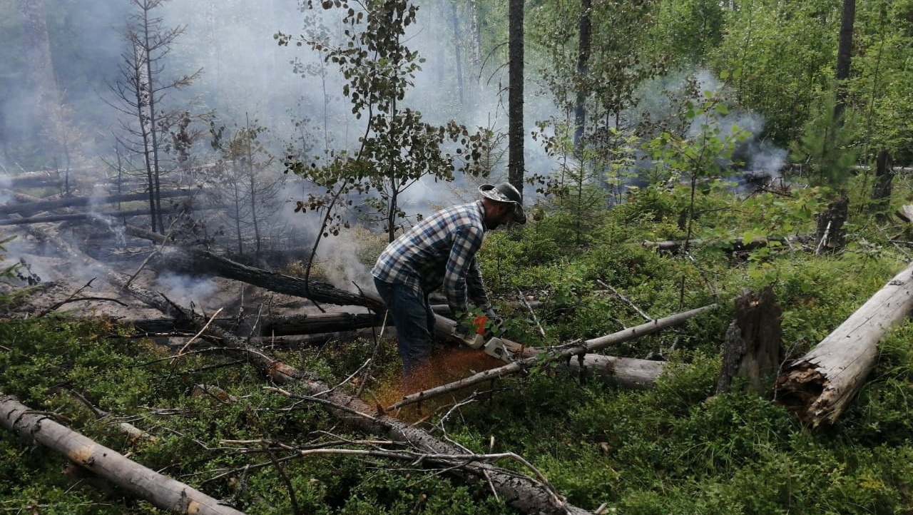 В Советском районе в эти минуты тушат лесной пожар