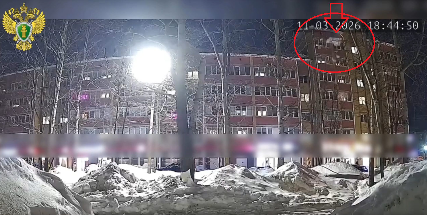 В Марий Эл на 6-летнюю девочку с крыши дома упала снежная глыба