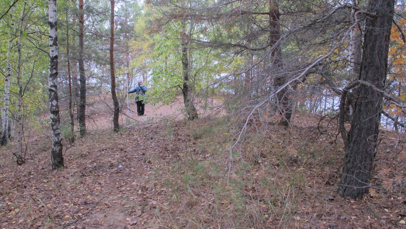 Марийские археологи обнаружили поселение эпохи неолита