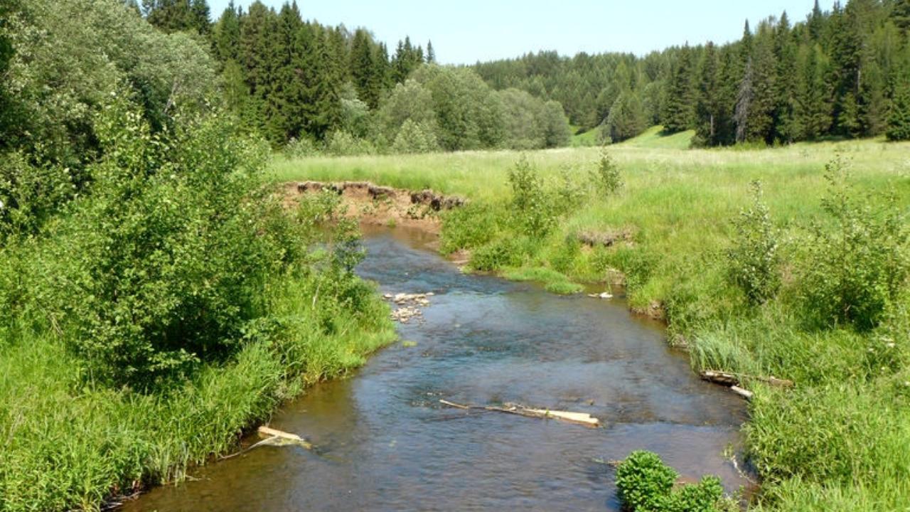 В Марий Эл зоологический памятник природы занимает 40 га