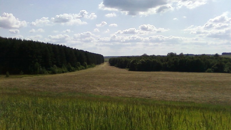 В Сернурском районе всю ночь искали пропавшего пенсионера