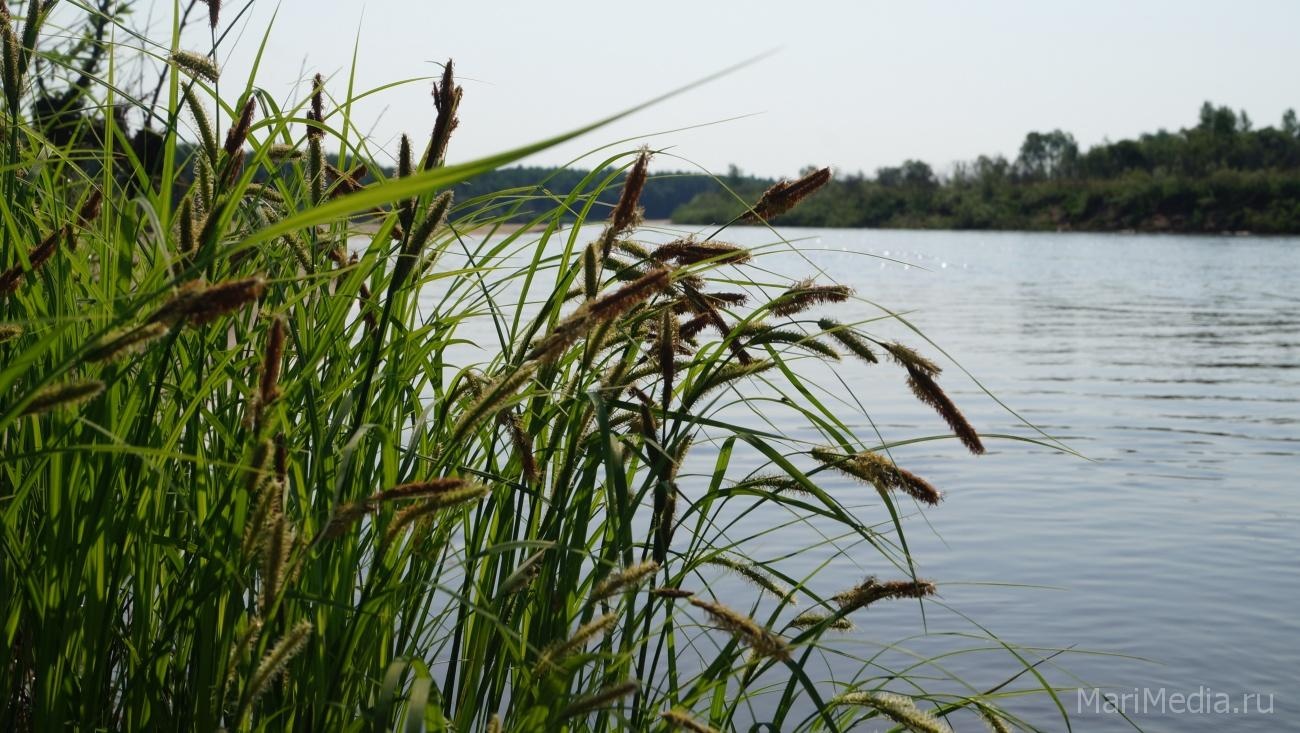 В Волжске утонул мужчина