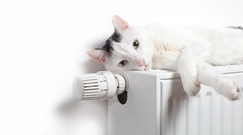 В Куженерском районе на днях включат отопление