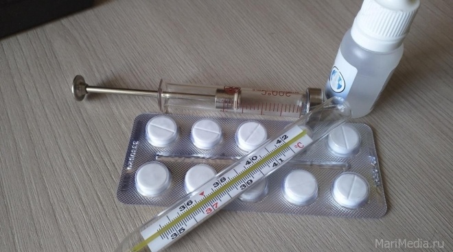 В Марий Эл на 80% выросло количество ОРВИ