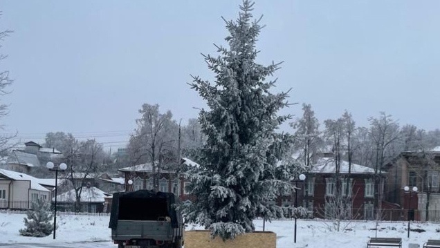 В Центральном парке Козьмодемьянска поставили ёлку