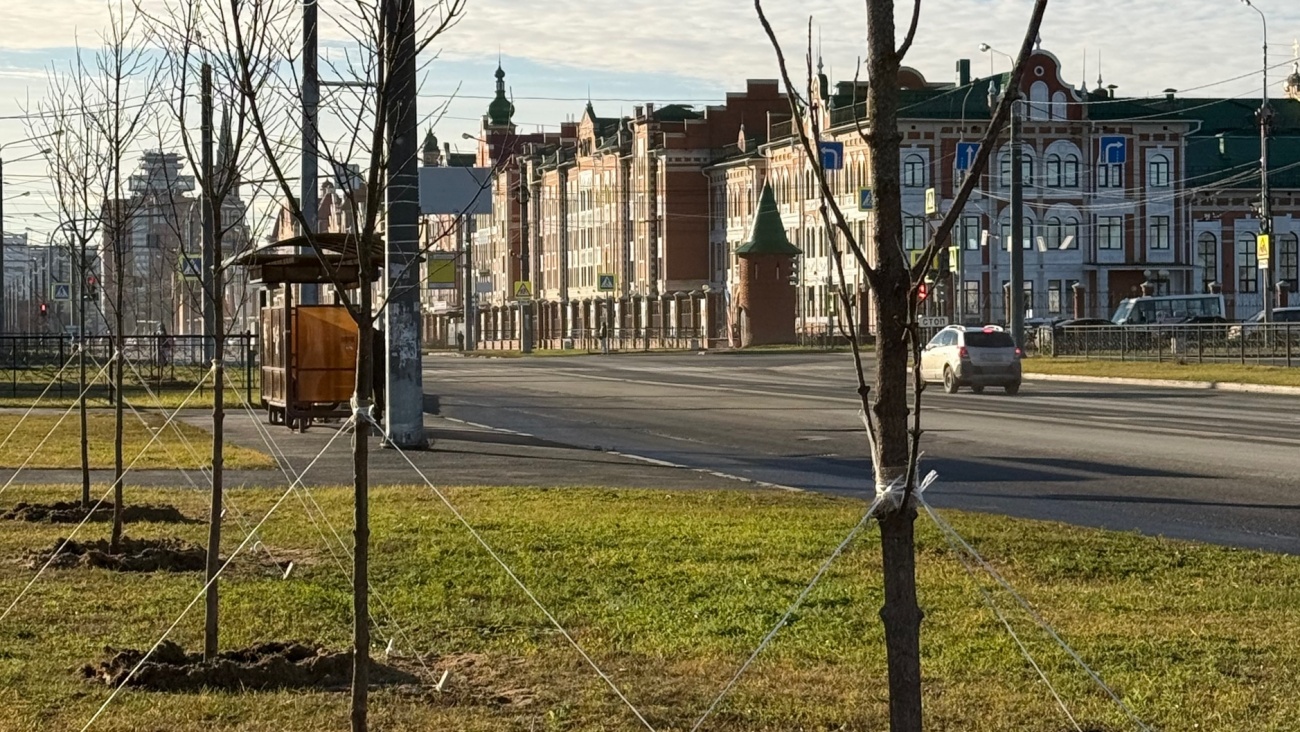 На Воскресенском проспекте в Йошкар-Оле заложили кленовую аллею