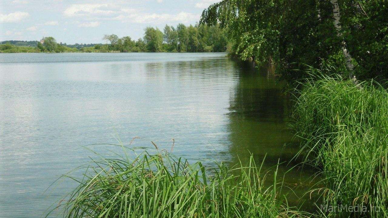 В Марий Эл за купание в неположенном месте грозит штраф