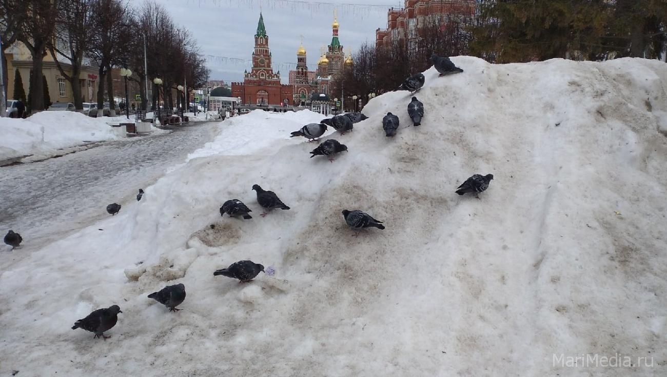 В выходные в Марий Эл ночью столбики термометров опустятся до -12ºС