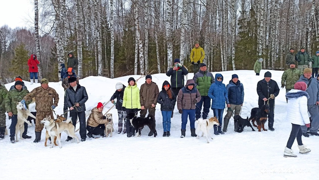 В Марий Эл за титул чемпиона боролись 113 охотничьих собак