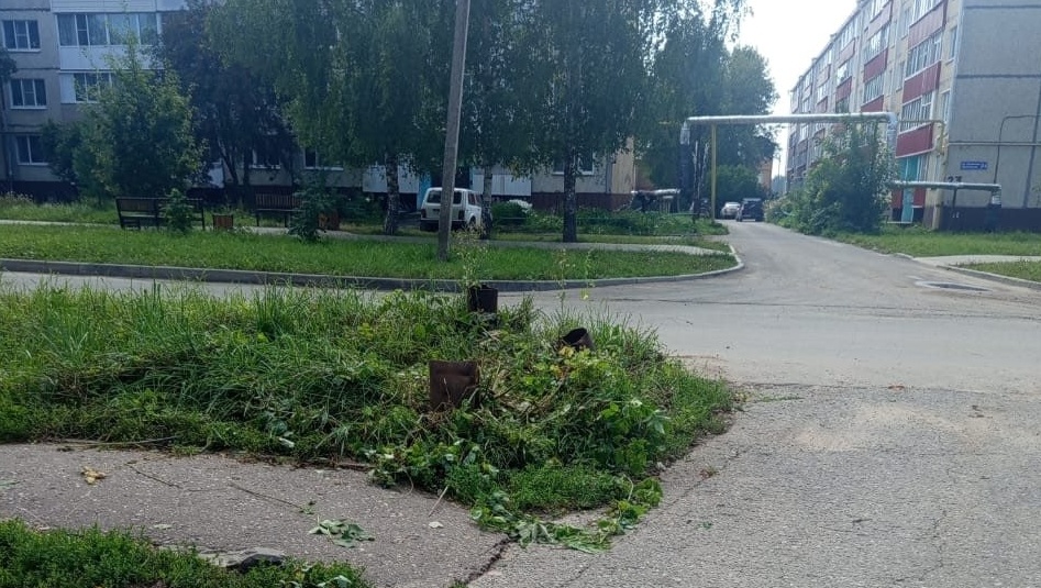 Инициативность жителей Марий Эл помогла снизить угрозу аварий на участке дороги в Медведево