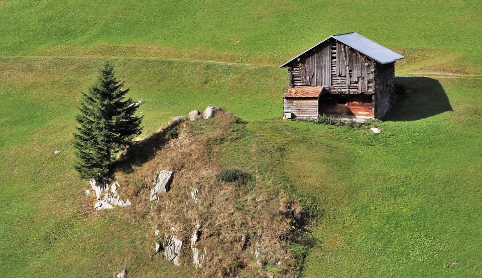 Арестованного имущества алиментщика не хватило для погашения долга