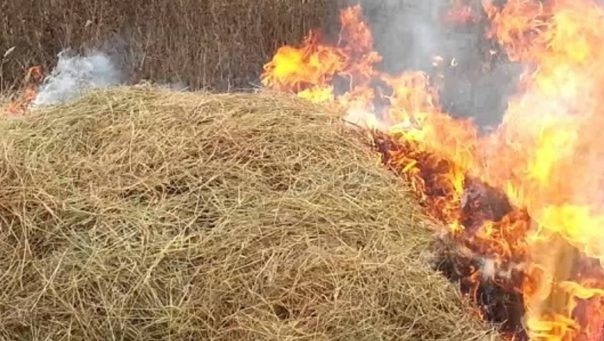 В августе в Марий Эл более 20 раз горела сухая трава