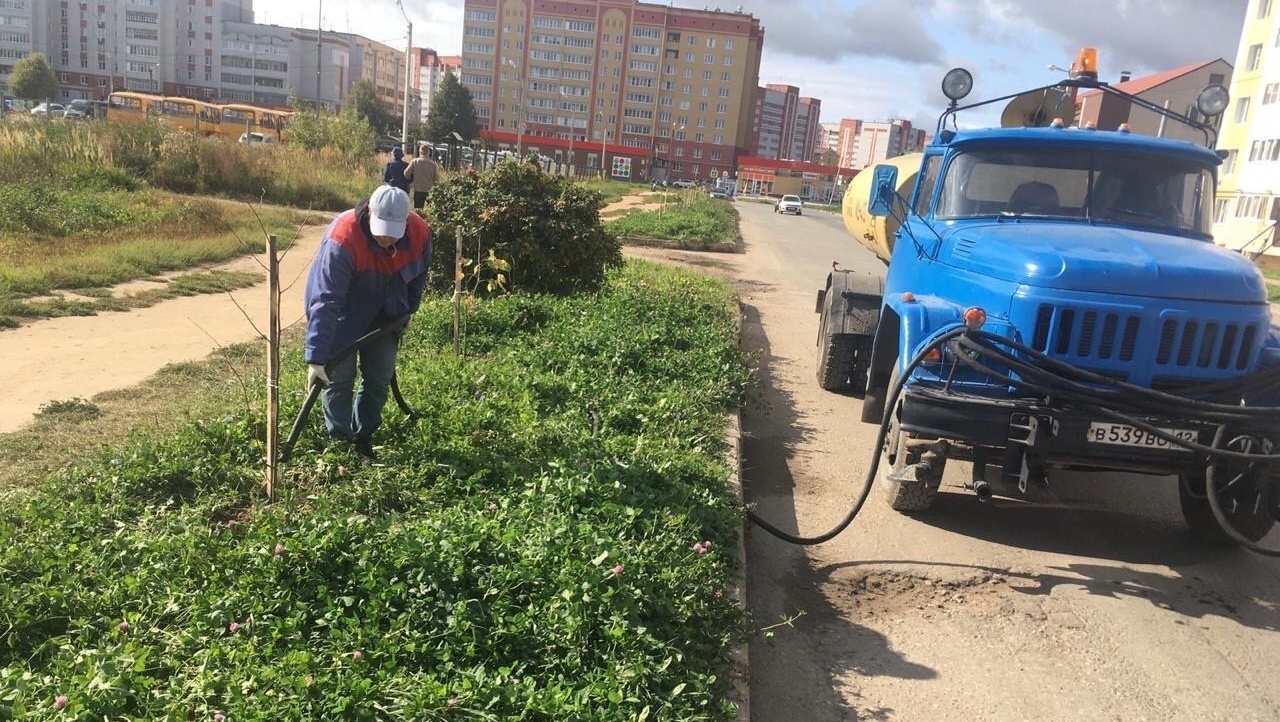 Промежуточные итоги осеннего месячника чистоты в Йошкар-Оле