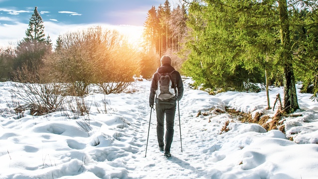 В Марий Эл учителей физкультуры обучили скандинавской ходьбе