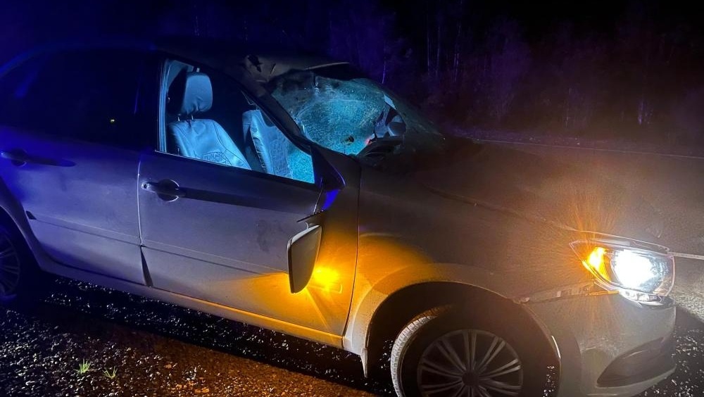 В Волжском районе в ДТП с лосем пострадал 33-летний пассажир «Лады Гранта»