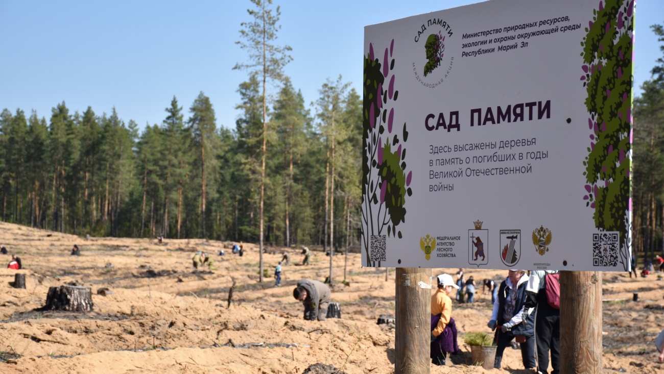 В Марий Эл 21 апреля стартует всероссийская акция «Сад Памяти»