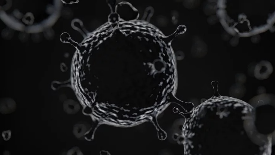 В феврале новый китайский вирус может появиться в России