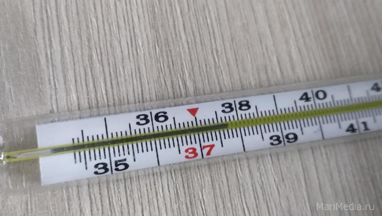 В Марий Эл за неделю ОРВИ заболели почти 4 тысячи жителей республики