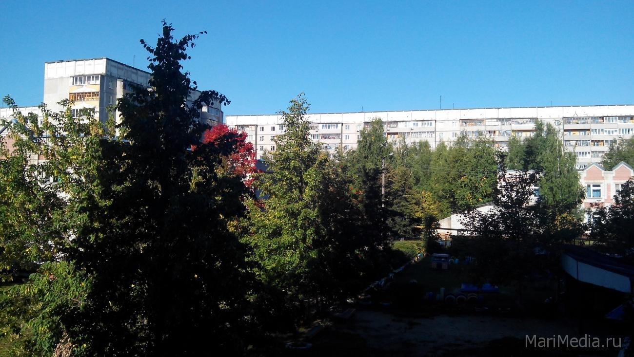 В выходные в Марий Эл столбики термометров поднимутся до +31ºС